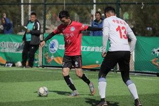 最新足球赛事大爆料新闻,最新赛事大爆料，揭秘赛场幕后真相  第3张